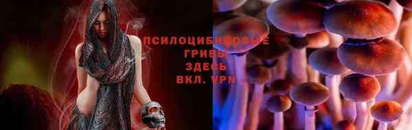 круглые Магас