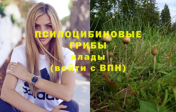 соль ск Лихославль