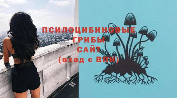 гидропоника Кулебаки