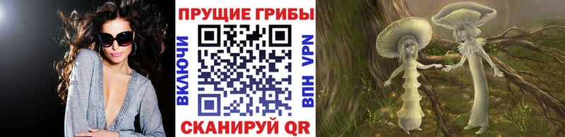 это как зайти Тутаев Псилоцибиновые грибы Psilocybe купить наркотики сайты